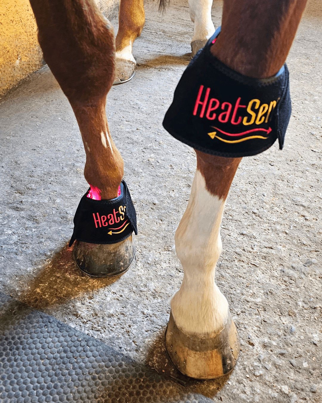Rød lys terapi klokker til hest 2.0 – Heat Sense Horse - Red light therapy