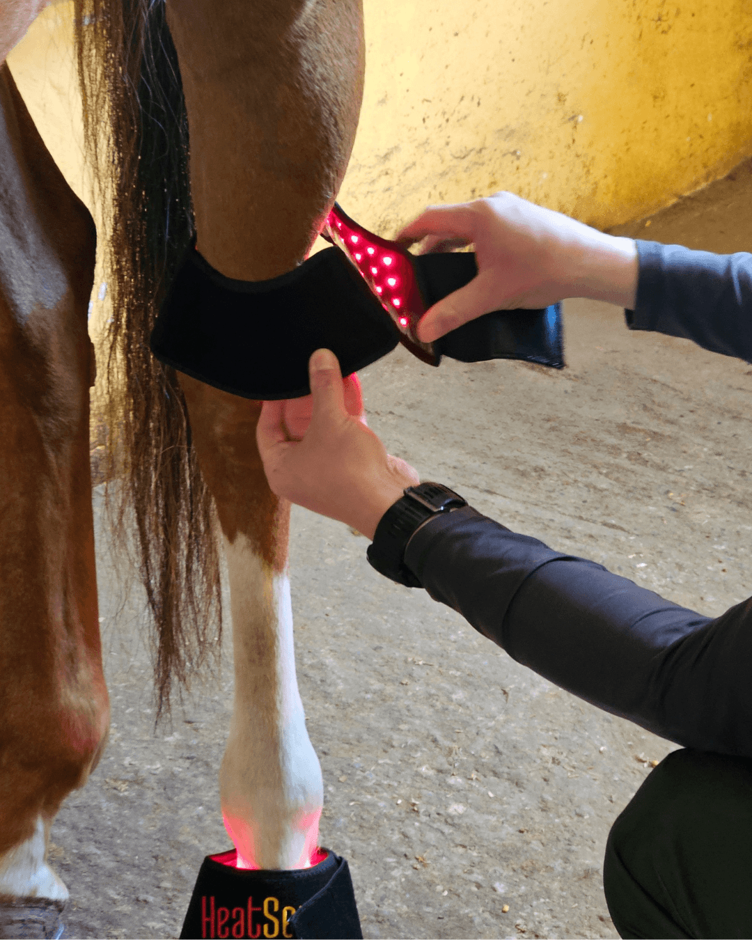 heatsense lysterapi klokker til hest
