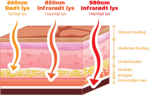 3 Wavelengths Red Light Therapy