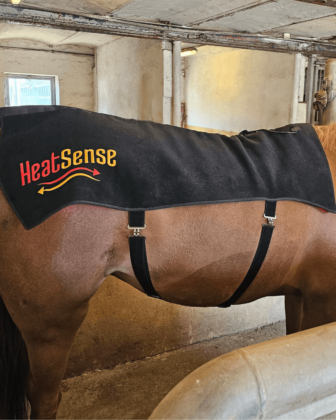 Infrarød terapi dækken til hest 2.0 – Heat Sense Horse - Red light therapy