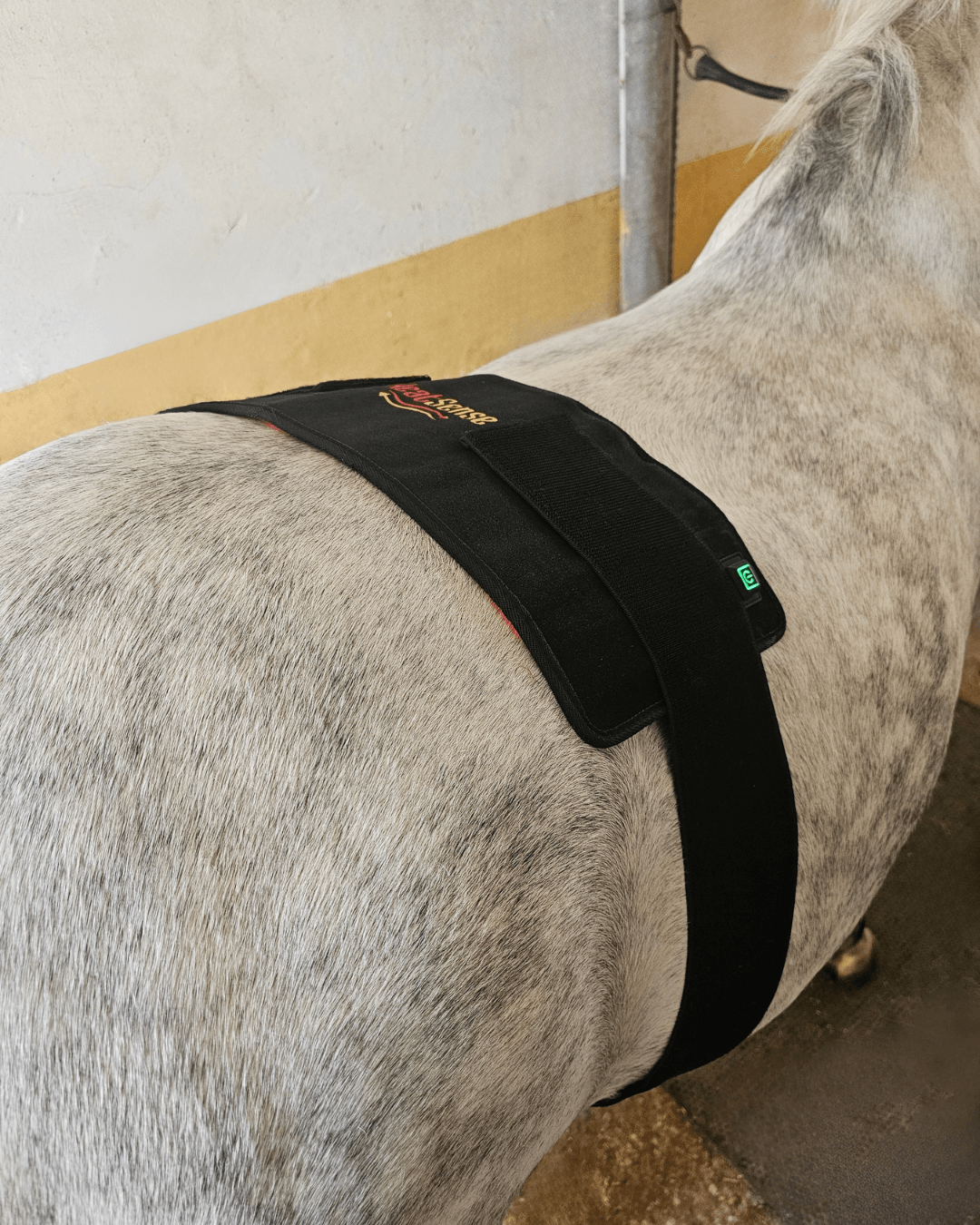 Rød lys terapi pad 2.0 til hest &#8211; Heat Sense - Red light therapy