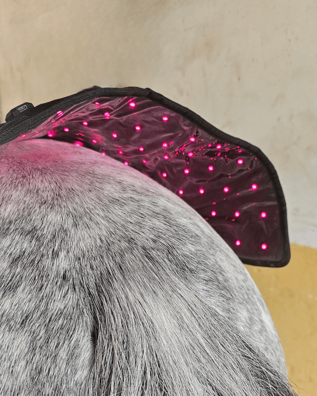 heatsense rød lysterapi stor pad 2.0 til pony og hest