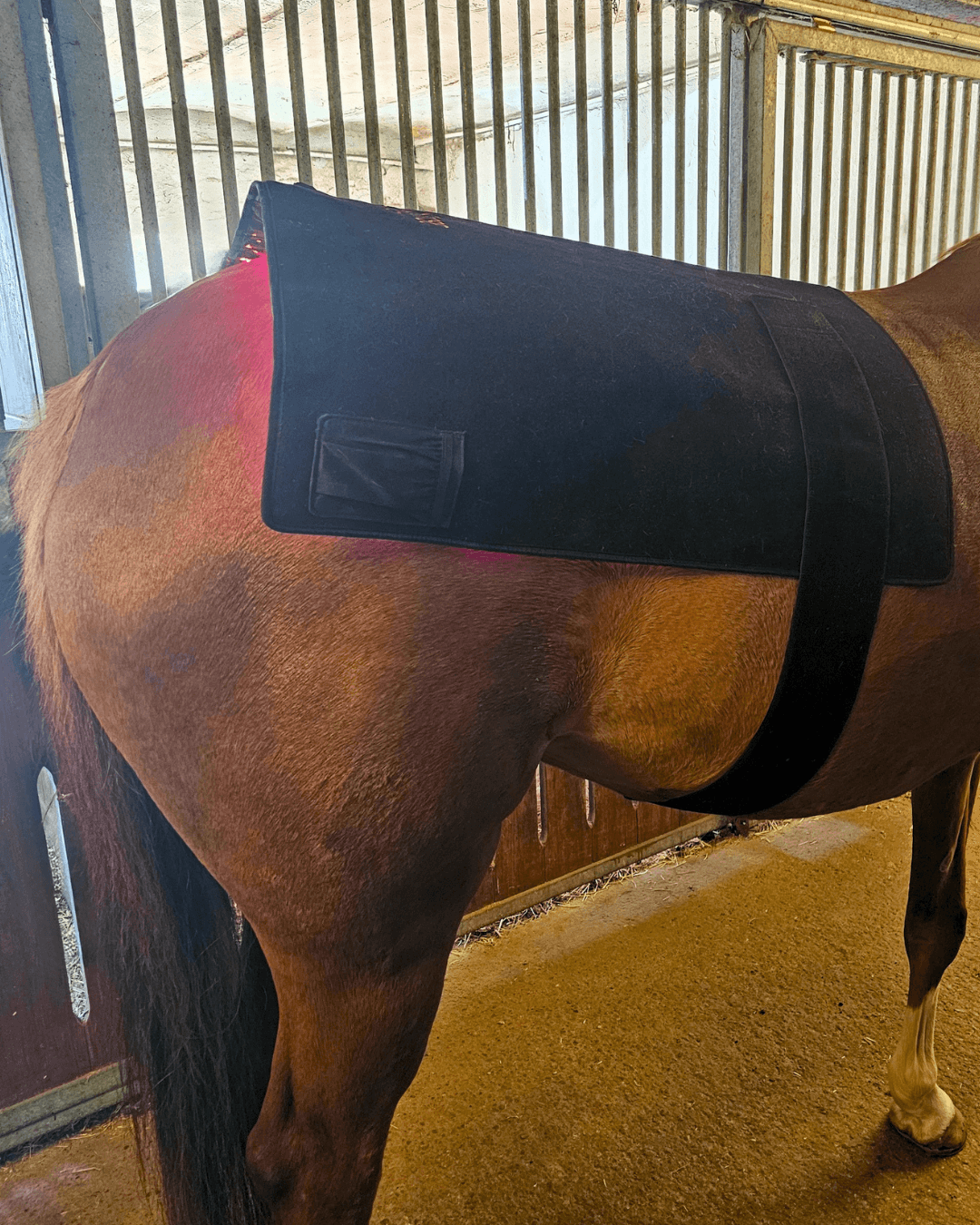 infrarød lysterapi stor pad 2.0 til hest og pony